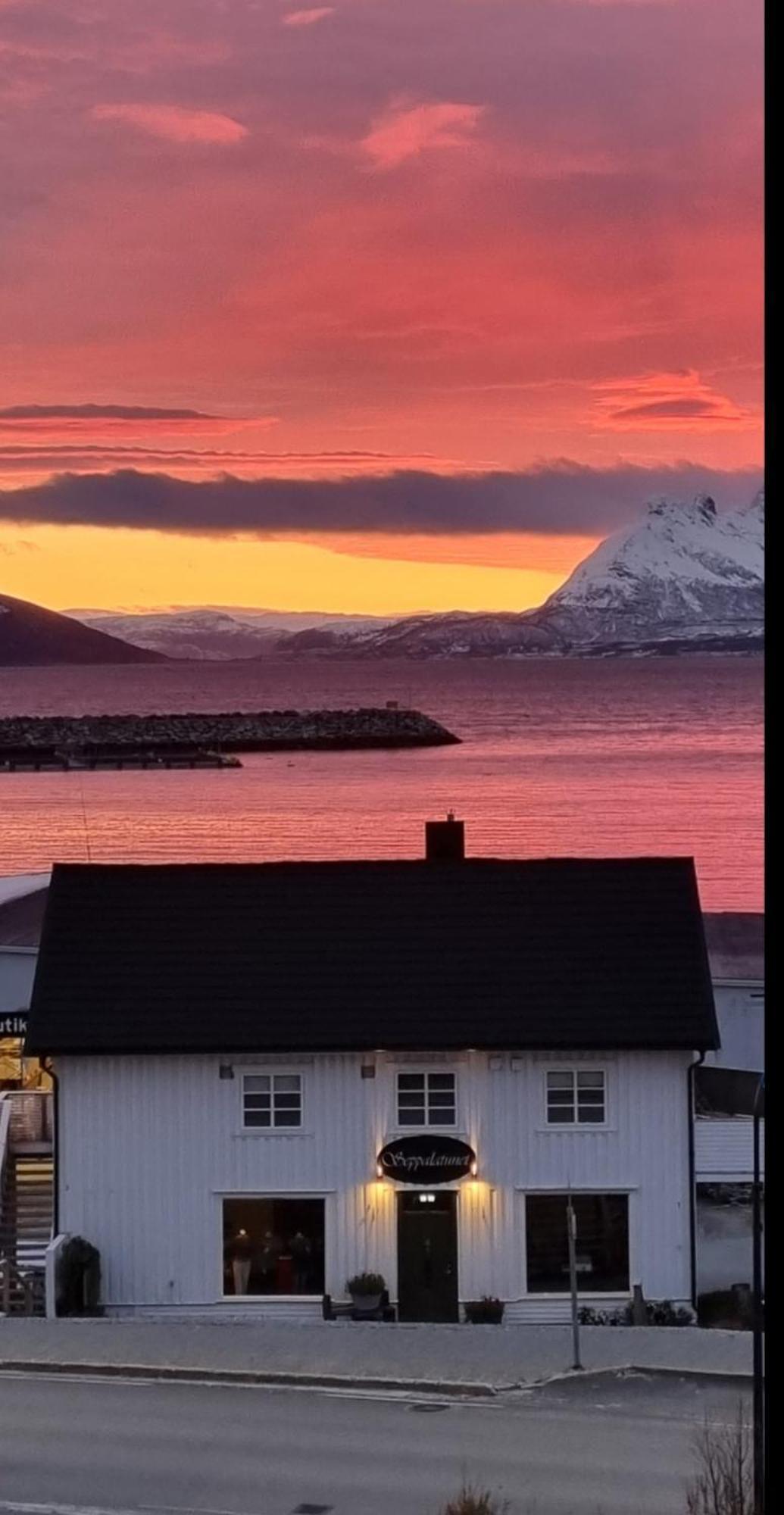 Loftsleilighet Midt I Sentrum Skjervoy المظهر الخارجي الصورة
